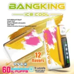 Bang King 60K Puffs Ice Cool 使い捨てVAPE