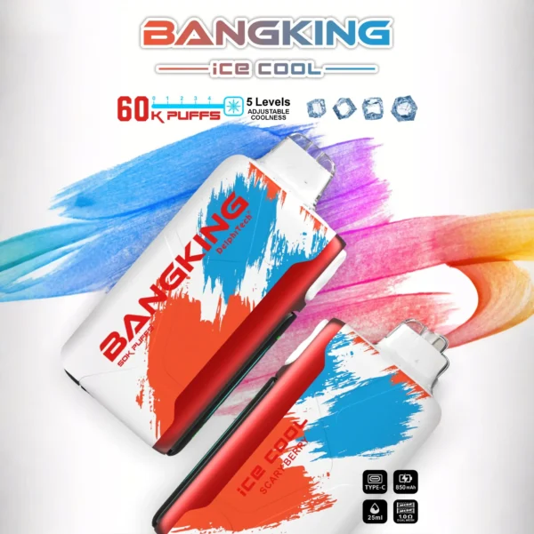 Bang King 60K Puffs Ice Cool 使い捨てVAPE フレーバー・パッケージ画像