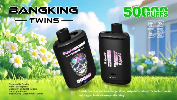 Bang King Twins 50K Puffs 使い捨てVAPE フレーバー・パッケージ画像