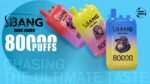 Bang Leader 80K Puffs 使い捨てVAPE - 画像 (2)