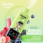 Bang Leader 85K Puffs 使い捨てVAPE - 画像 (2)