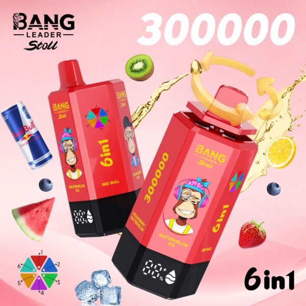 Bang Leader Stoll 300K Puffs 使い捨てVAPE フレーバー・パッケージ画像