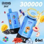 Bang Leader Stoll 300K Puffs 使い捨てVAPE - 画像 (4)